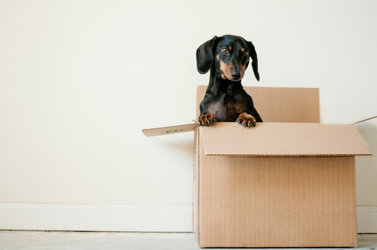 Ready to move — packing boxes for delivery across West Sussex
